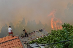Через пожежі у Португалії загинули 4 особи