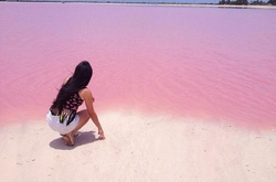 Мечта любого романтика: розовая лагуна у берегов Мексики