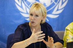 Заяви Путіна про «терористів» у Криму не змінять факту приналежності півострова Україні - МЗС Швеції