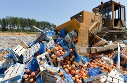 Росія буде знищувати санкційну їжу до 2018 року