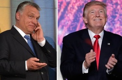 Заяви Орбана на підтримку Трампа не є заявами проти України, - дипломат