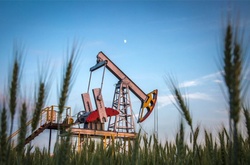 Обвал цін на ринку нафти триває 