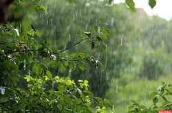 Сьогодні в Україні місцями дощі, температура до +31