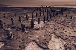 Серию ночных фото одесского «Куяльника» показали в галереях Лондона