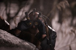 Нацгвардія затримала шпигуна, який знімав режимний об'єкт