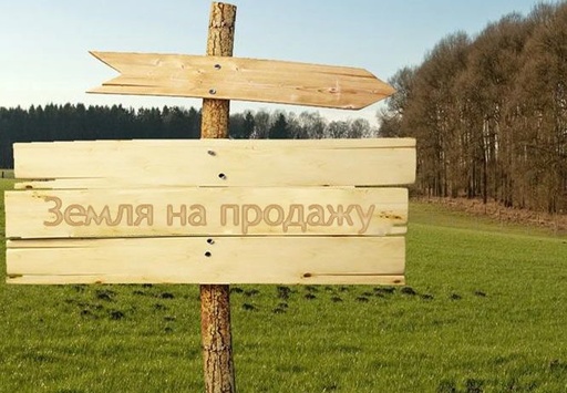 Політик розповів про «геніальний спосіб», який винайшла українська влада, щоб запустити ринок землі
