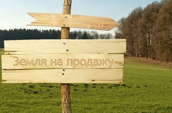 Політик розповів про «геніальний спосіб», який винайшла українська влада, щоб запустити ринок землі