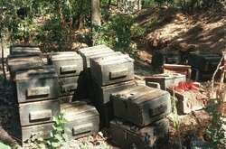 Бойовики «ДНР» готували диверсії напередодні Дня Незалежності