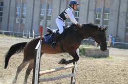 Яскраві фото зі змагань майстрів верхової їзди на Львівщині