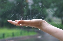 Синоптики прогнозують короткочасні дощі у вівторок 