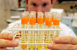 Путін образився на «допінгові викриття»: Росія припиняє платити внески у WADA