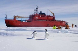 Вчені в Антарктиді виявили величезну тріщину 