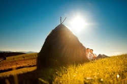 Сьогодні в Україні збережеться спекотна погода 