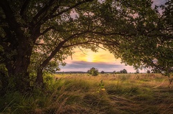 Незабутні пейзажі українського літа, що минає 