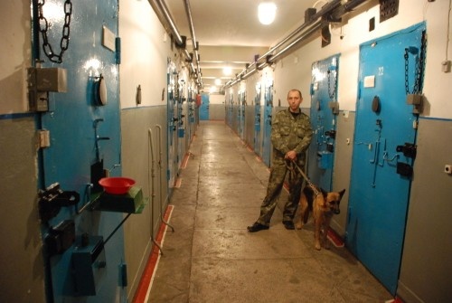 Місія ООН знов спробує проінспектувати українські тюрми 