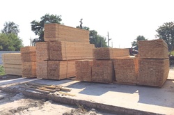 CБУ блокувала незаконний експорт деревини