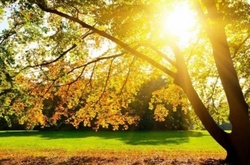 Синоптики обіцяють на п’ятницю літнє тепло