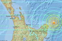 Нову Зеландію сколихнув землетрус магнітудою 7,2 бали 