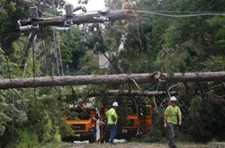 На Флориду обрушився потужний ураган Ерміна