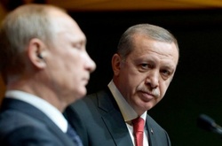 Стало відомо про що Путін говорив з Ердоганом на саміті G20