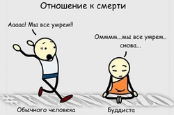 Иллюстратор в своих комиксах доказал, что с сарказмом жить легче и веселее