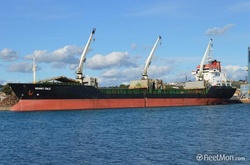 На турецькому судні в українських водах стався бунт: є поранені 