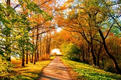 6 вересня в Україні утримається літнє тепло