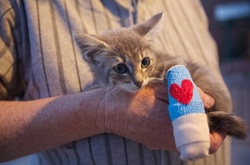 Трогательные фотографии раненных животных, которых исцелила любовь человека 