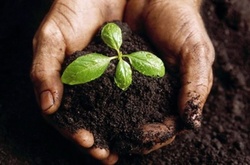 Герої України просять владу не «душити» аграріїв (ДОКУМЕНТ)