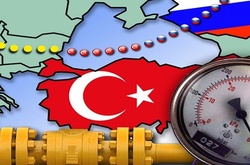 У Путіна заявили про отримання перших дозволів на будівництво «Турецького потоку»