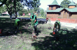 В Дарницькому районі з'явилися арт-лавки