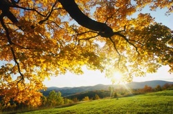 Завтра в Україні буде спекотно 