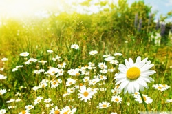 У суботу в Україні буде тепло 