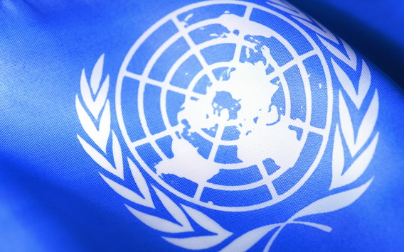 ООН звинуватила Україну у нехтуванні проблем переселенців