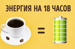 В Австралии изобрели кофе, который будет держать вас в тонусе 18 часов 