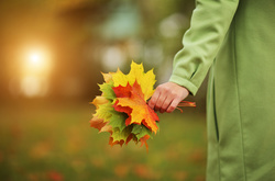 На Україну насувається похолодання 