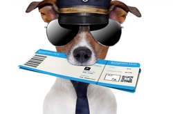 Лайфхаки для туристов: Где в мире продают самые дешевые и дорогие авиабилеты