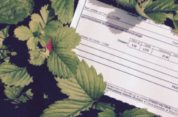 Скільки кияни заплатять за тепло та гарячу воду в новому опалювальному сезоні