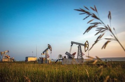 Ціна нафти Brent впала нижче 47 доларів за барель 