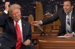 Зачіску Трампа перевірили на міцність