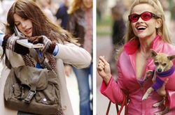 Как построить карьеру: 8 лайфхаков от Кэрри Брэдшоу, Эль Вудс и других культовых героинь