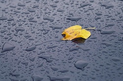 У середу Україну накриють дощі