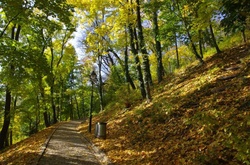 У парках та скверах столиці триває капітальний ремонт