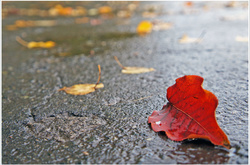 У п’ятницю знову дощитиме 