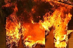 Пожежа в Москві: загинуло восьмеро рятувальників