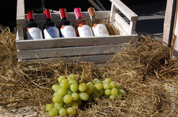 Плачков: Від скасування оптової ліцензії для виноробів виграє держава