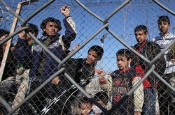 Під Мукачевим затримали авто з сирійськими нелегалами