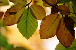 У вівторок в Україні буде холодно, але сухо