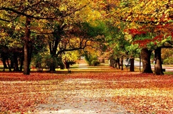 У Дарницькому районі відкриють новий сквер