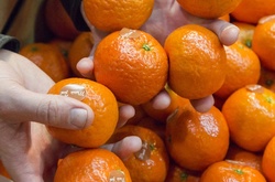 Росія відновила імпорт овочів і фруктів з Єгипту